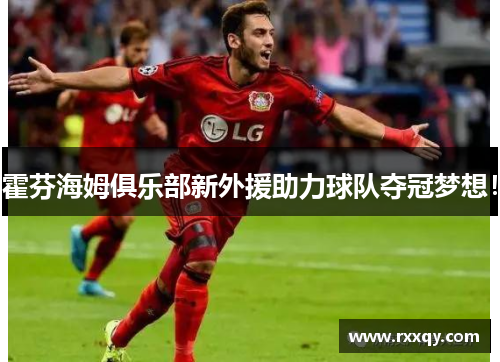霍芬海姆俱乐部新外援助力球队夺冠梦想！